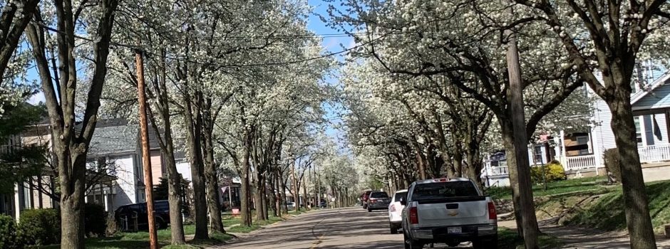 North Cooper-Cropped